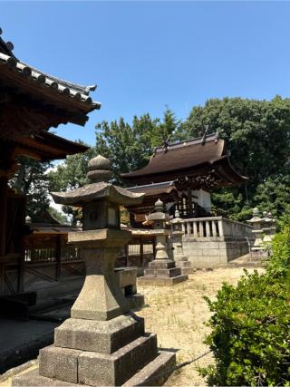 阿智神社の参拝記録(コットンさん)