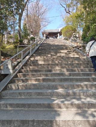 阿智神社の参拝記録(あべちゃんさん)