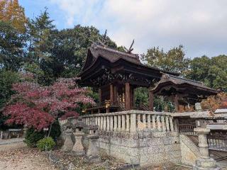 阿智神社の参拝記録(hiroさん)