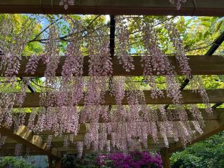 阿智神社の参拝記録(たかひろさん)
