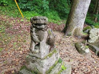 金刀比羅神社の参拝記録(飛成さん)
