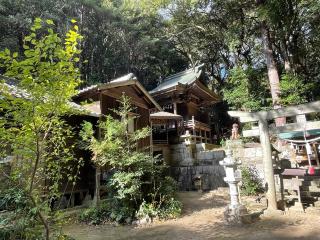 田井八幡宮の参拝記録(ROSSOさん)