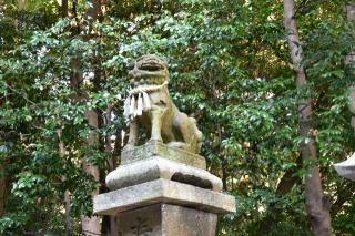 田井八幡宮の参拝記録(飛成さん)