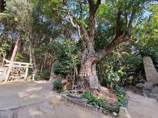 田井八幡宮の参拝記録(ジバンさん)