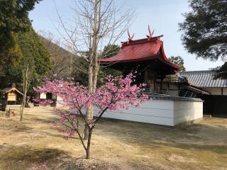 槌ヶ原八幡宮の参拝記録(ROSSOさん)