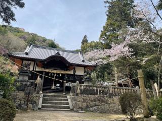 早瀧比咩神社の参拝記録(ROSSOさん)