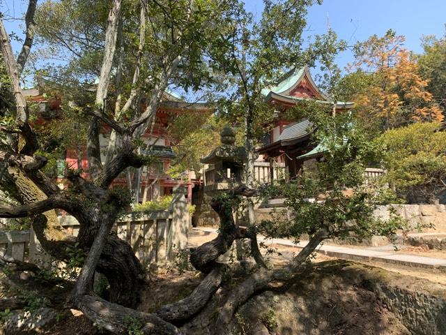 鴻八幡宮の参拝記録10