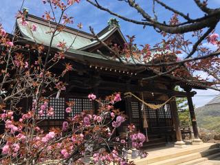 神神社の参拝記録(ROSSOさん)