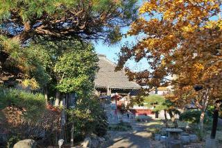 西島山観音院大圓寺の参拝記録(thonglor17さん)