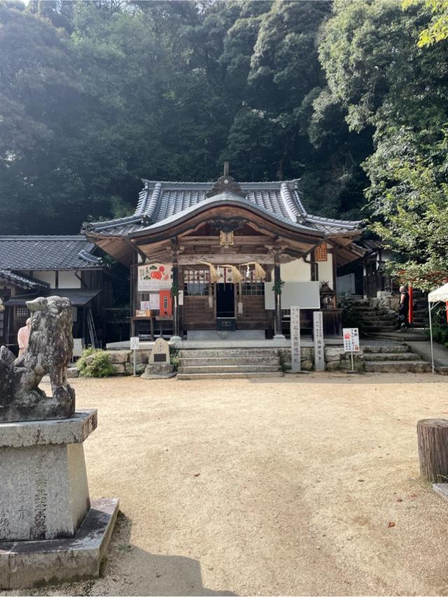 石上布都魂神社の参拝記録8