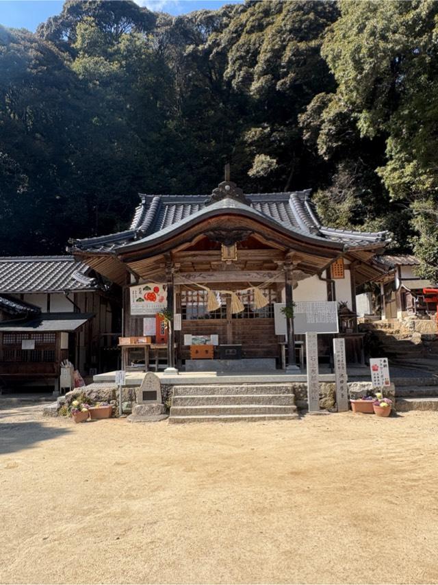 石上布都魂神社の参拝記録10