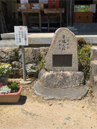 石上布都魂神社の参拝記録(ブロディさん)