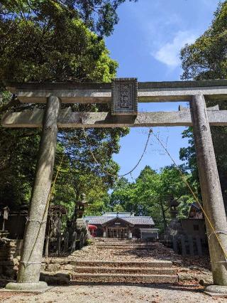 熊山神社の参拝記録(つっちーさん)