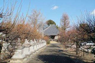 不二山遊座院称名寺の参拝記録(thonglor17さん)