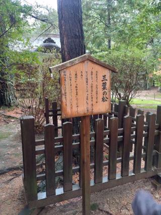 窪八幡宮の参拝記録(ゆうきさん)
