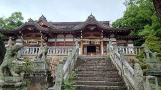 鶴崎神社の参拝記録(おったんさん)