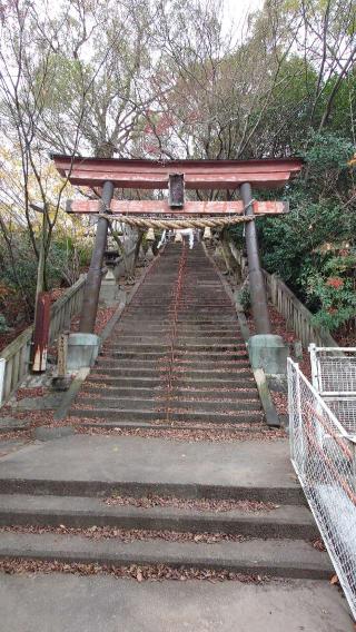 稲富稲荷神社の参拝記録(おったんさん)