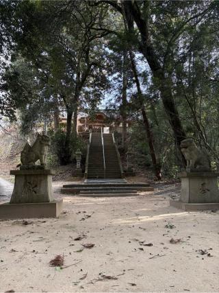 星尾神社の参拝記録(くっくさん)
