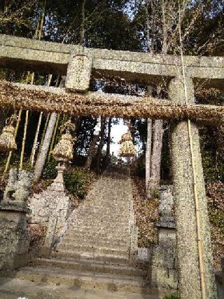 長澤神社の参拝記録(なっぱさん)