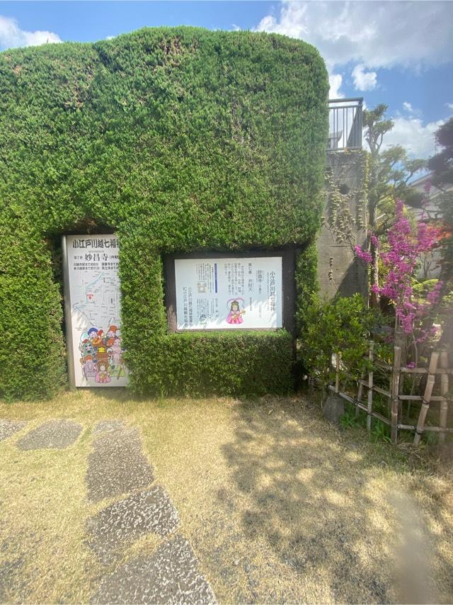 埼玉県川越市三光町29-1 法眞山 妙昌寺の写真6