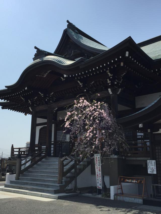 法眞山 妙昌寺の参拝記録3