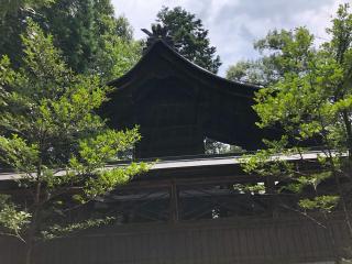 井神社の参拝記録(ROSSOさん)