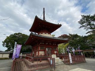 星野山 無量寿寺 喜多院の参拝記録(ミキオさんさん)