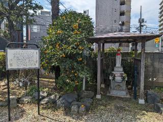 道人山 妙善寺の参拝記録(おがおが1262さん)