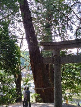 高岡神社の参拝記録(くろろさん)