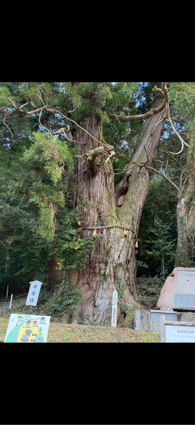 高岡神社の参拝記録6