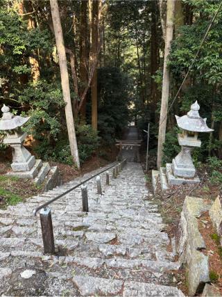 高岡神社の参拝記録(ゆうきさん)