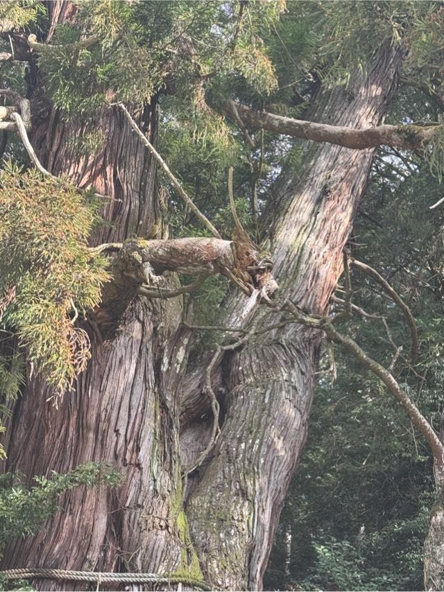 高岡神社の参拝記録1