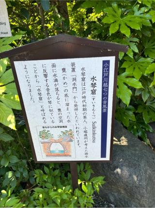 自然山大日院天然寺の参拝記録(　🍅さん)