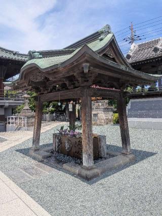 成田山 川越別院 本行院の参拝記録(はくすみさん)