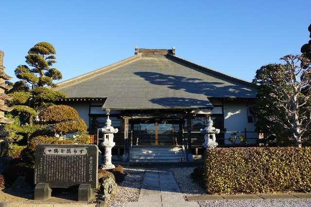 金光山寳勝院薬王寺の写真1