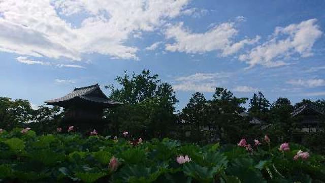 埼玉県川越市豊田本939 豊田山善長寺の写真2