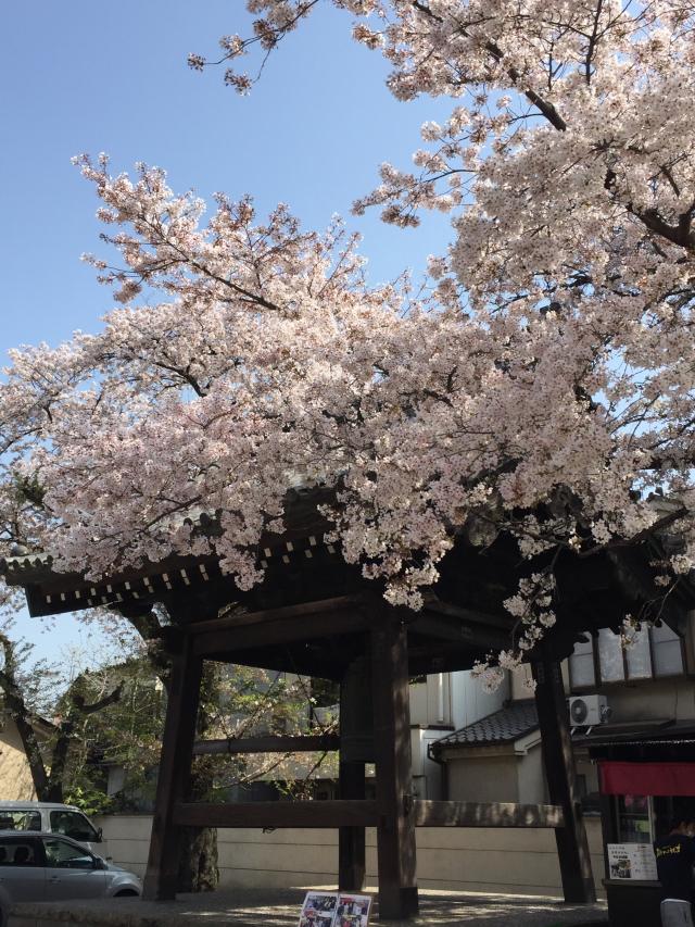 孤峰山 寶池院 蓮馨寺の参拝記録(張り子犬さん)