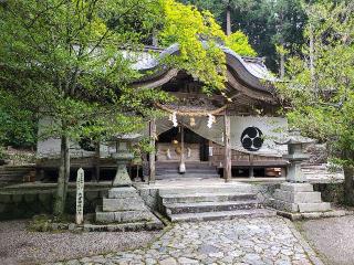 大津神社の参拝記録(飛成さん)