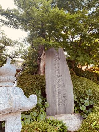 岸栄山妙蔵寺の参拝記録(tsuさん)