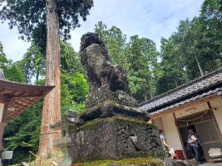 春日神社の参拝記録(飛成さん)
