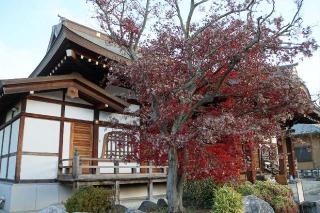 正立山 本行寺の参拝記録(thonglor17さん)