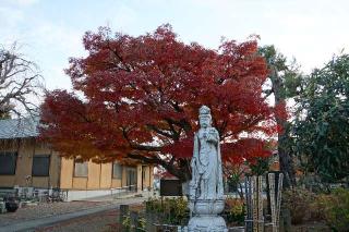 正立山 本行寺の参拝記録(thonglor17さん)