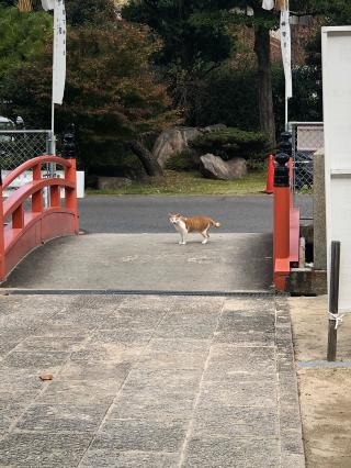 旭山神社の参拝記録(あくんさん)