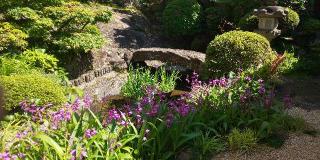 比治山神社の参拝記録(はにほへとさん)