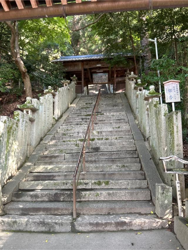 天別豊姫神社の参拝記録5