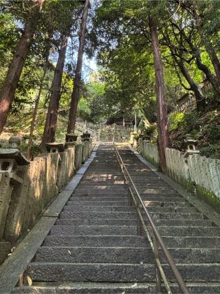 天別豊姫神社の参拝記録(ほちさん)