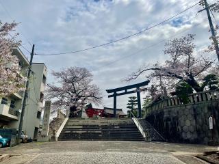 亀山神社の参拝記録(じゃすてぃさん)