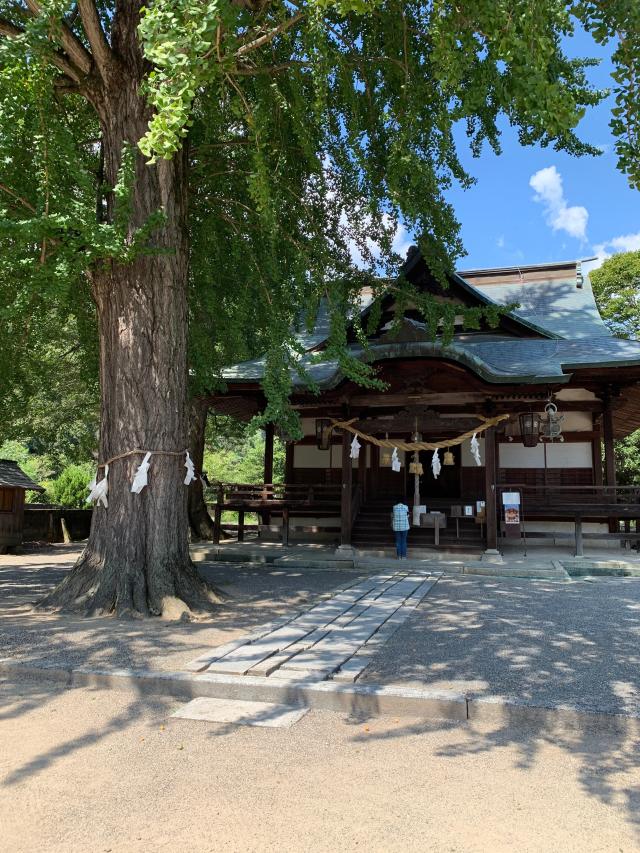 広島県三原市中之町2174-2 賀羅加波神社の写真1