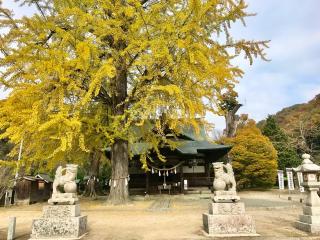 賀羅加波神社の参拝記録(じゃすてぃさん)