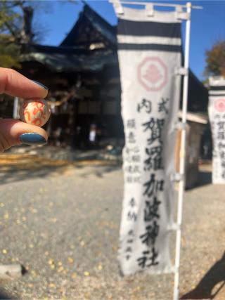 賀羅加波神社の参拝記録(なおさん)